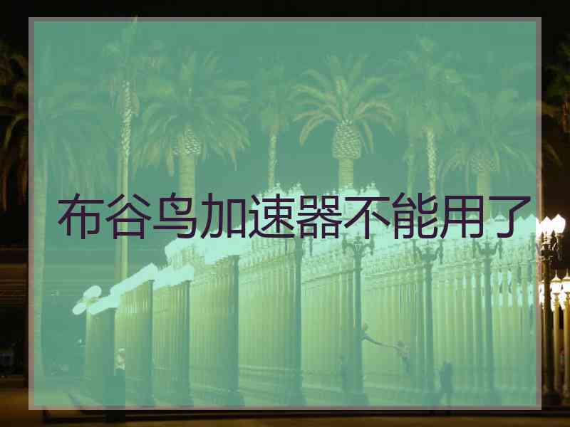 布谷鸟加速器不能用了