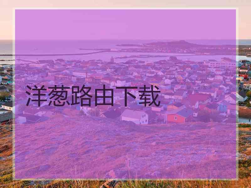 洋葱路由下载
