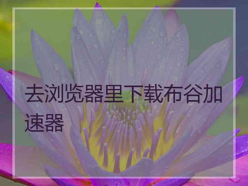 去浏览器里下载布谷加速器