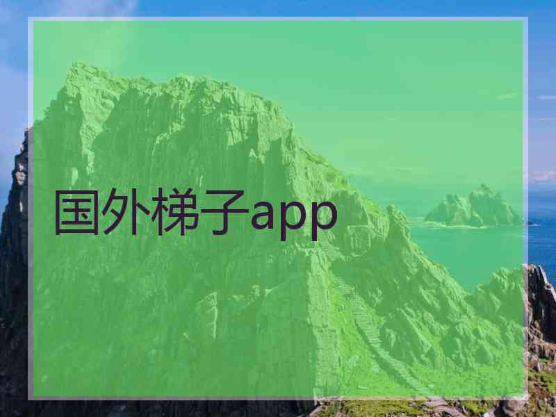 国外梯子app
