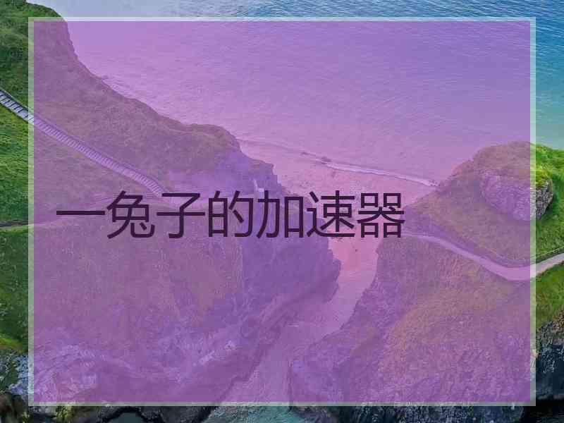 一兔子的加速器