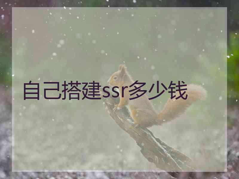 自己搭建ssr多少钱