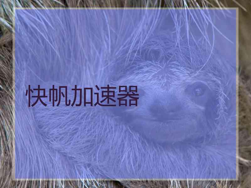 快帆加速器
