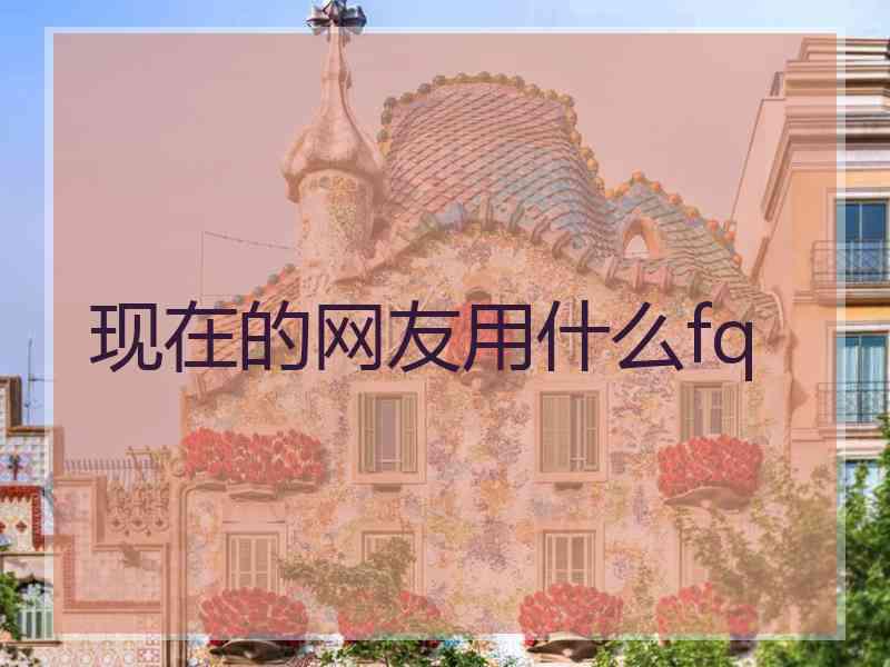 现在的网友用什么fq