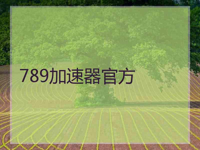 789加速器官方