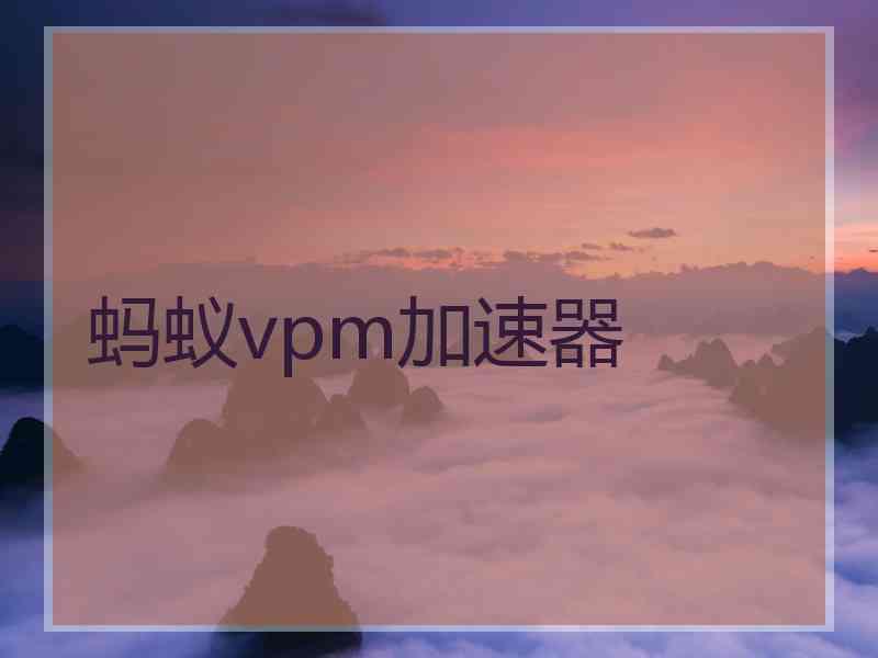 蚂蚁vpm加速器