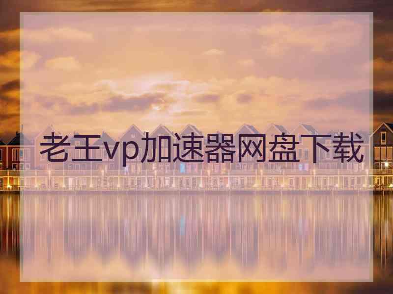 老王vp加速器网盘下载