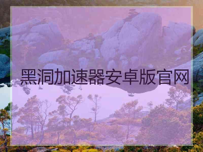 黑洞加速器安卓版官网