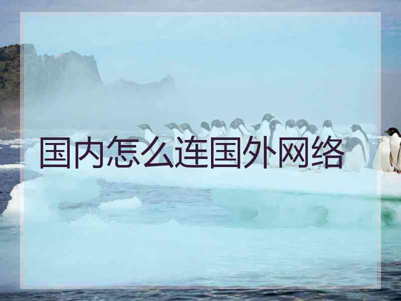 国内怎么连国外网络