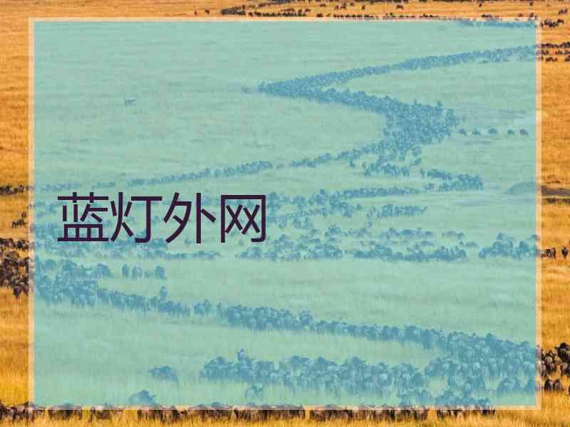 蓝灯外网