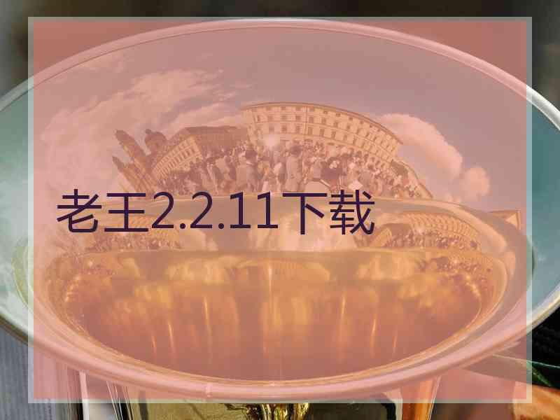 老王2.2.11下载
