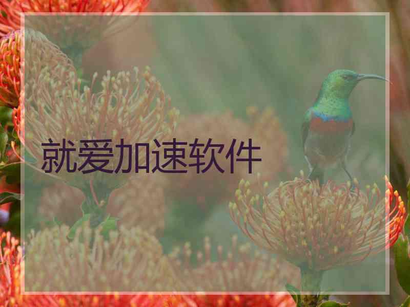 就爱加速软件