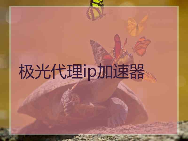 极光代理ip加速器