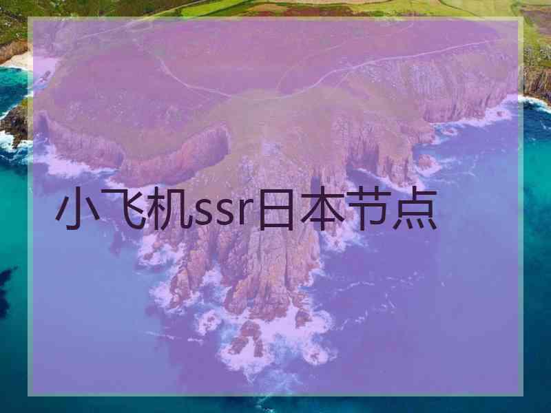 小飞机ssr日本节点