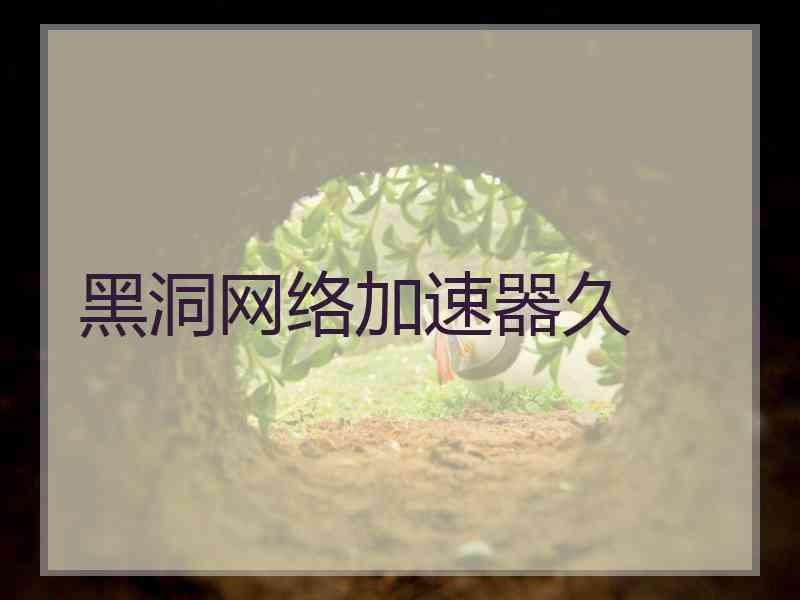黑洞网络加速器久