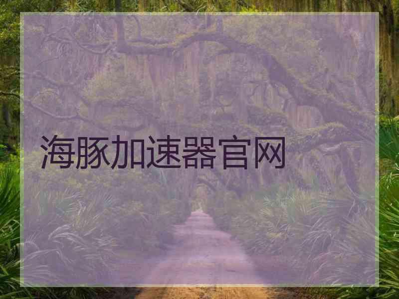 海豚加速器官网