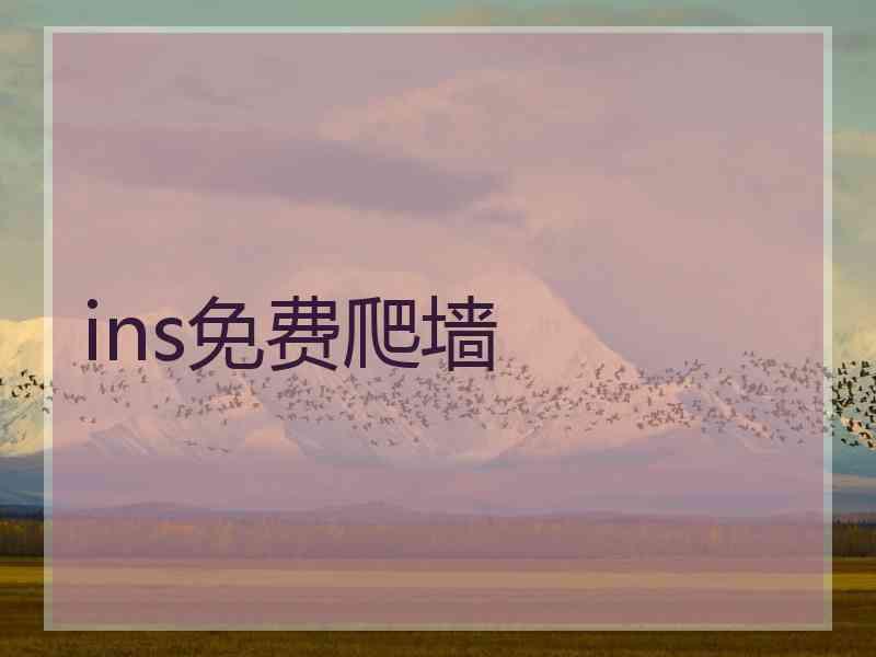 ins免费爬墙