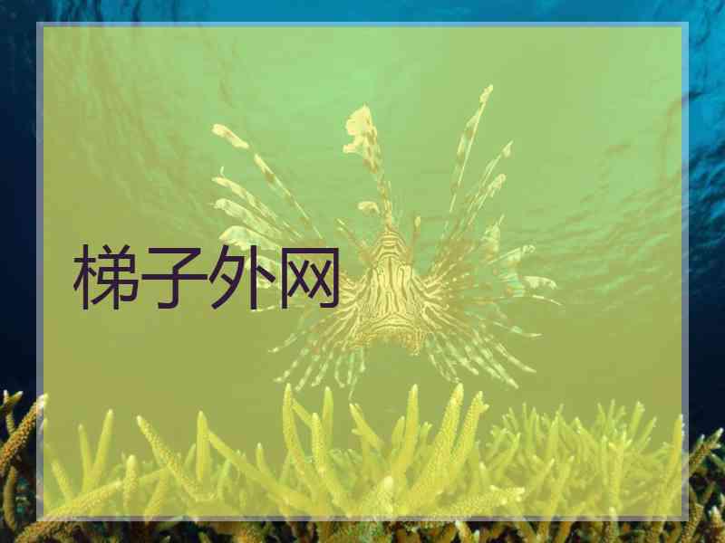 梯子外网