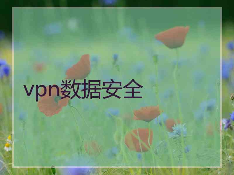 vpn数据安全