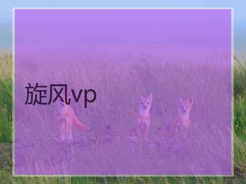 旋风vp