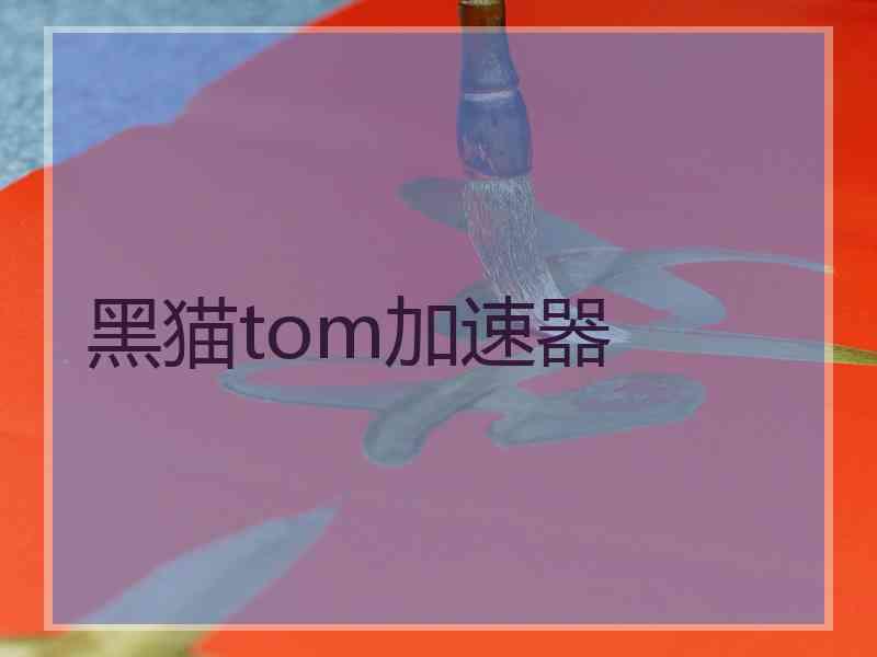 黑猫tom加速器