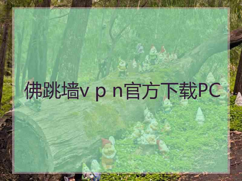 佛跳墙v p n官方下载PC