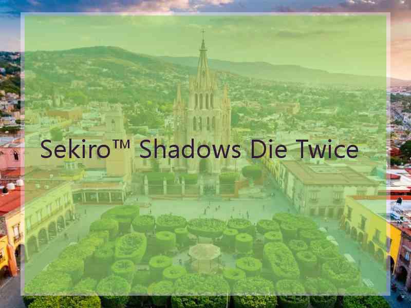 Sekiro™ Shadows Die Twice