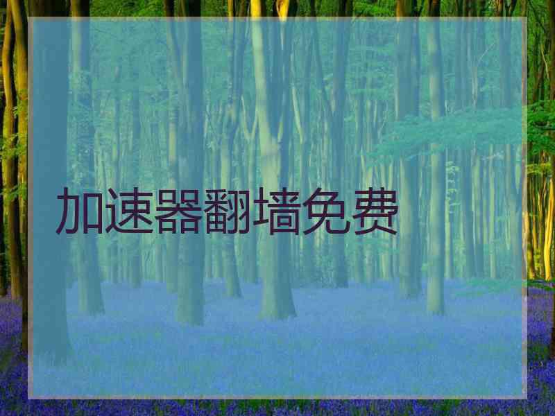 加速器翻墙免费