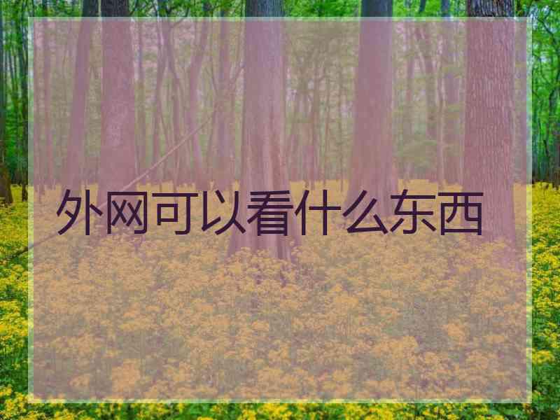 外网可以看什么东西