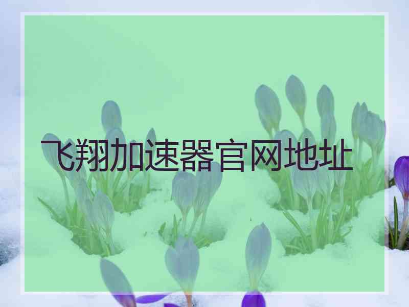 飞翔加速器官网地址