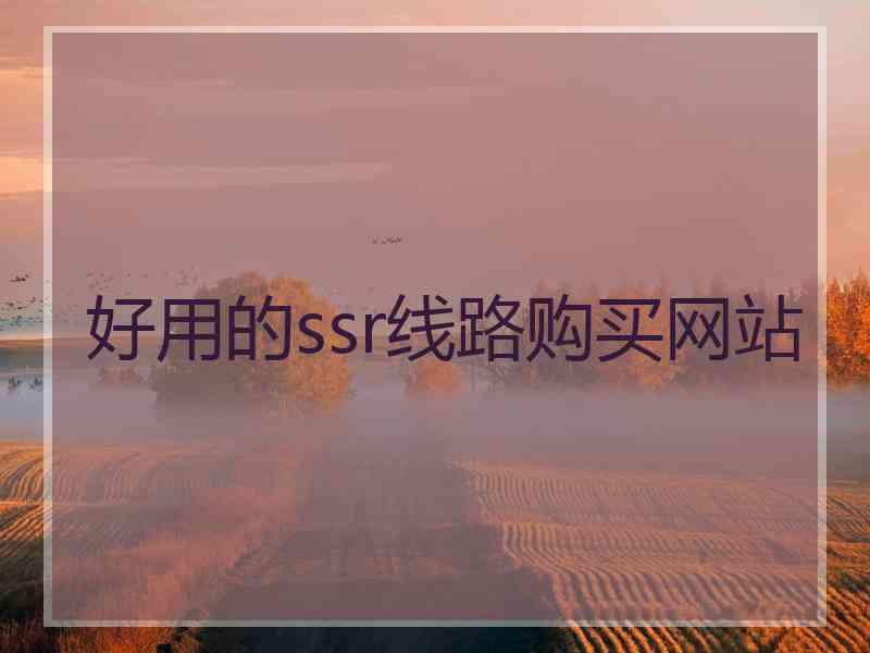 好用的ssr线路购买网站