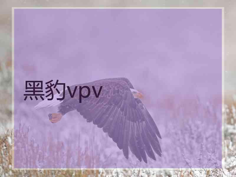 黑豹vpv
