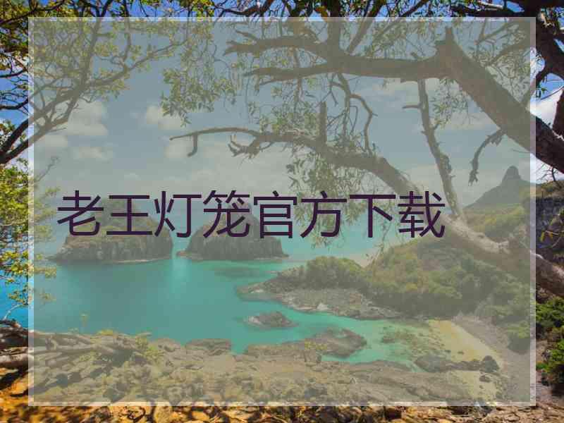 老王灯笼官方下载