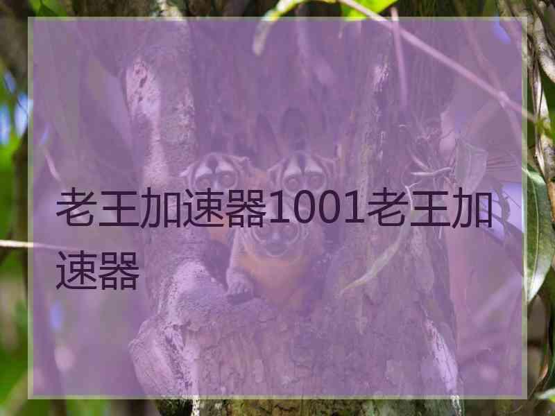 老王加速器1001老王加速器