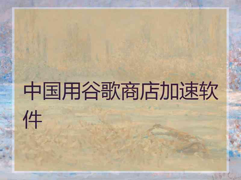 中国用谷歌商店加速软件