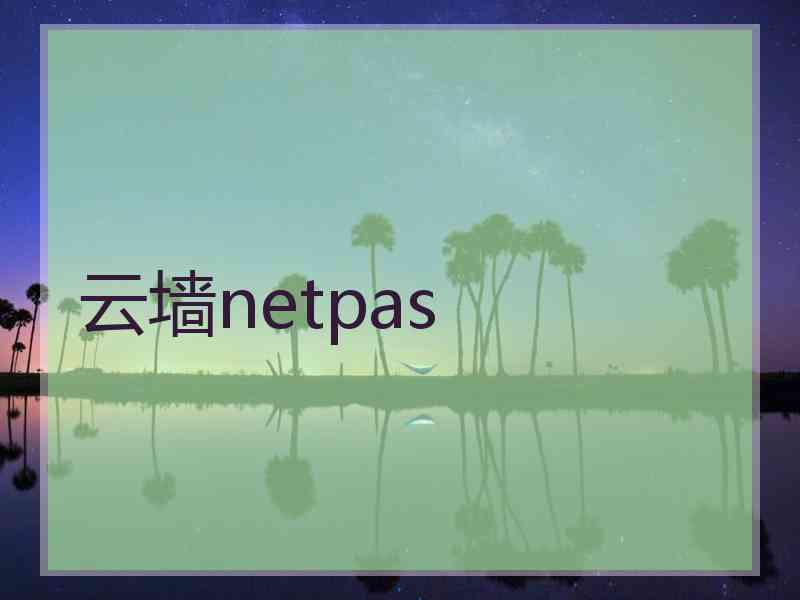 云墙netpas