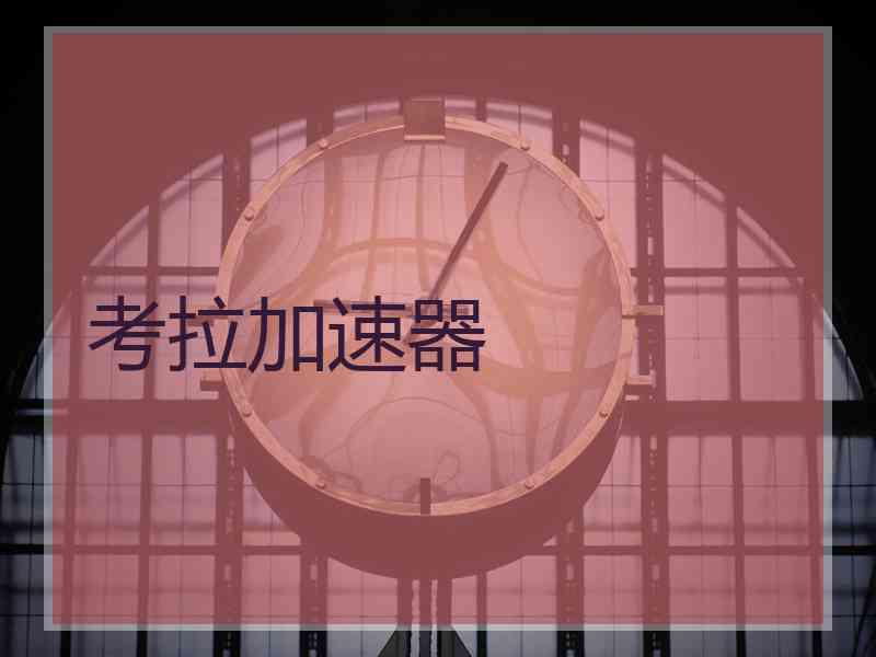 考拉加速器