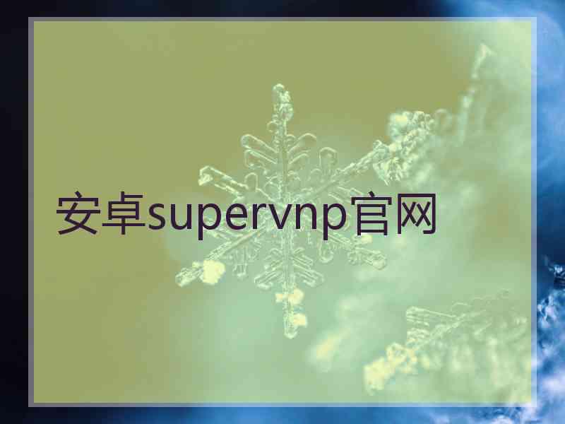 安卓supervnp官网