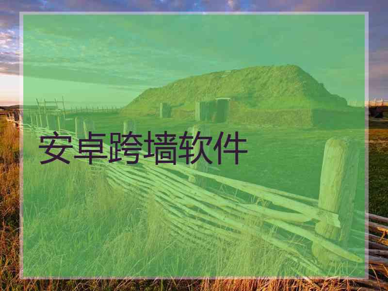 安卓跨墙软件