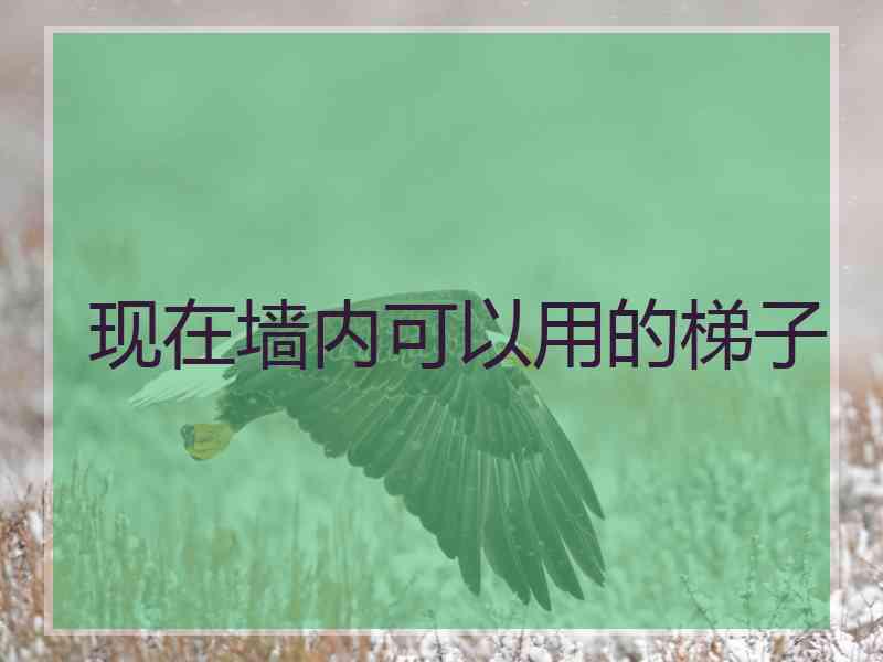 现在墙内可以用的梯子