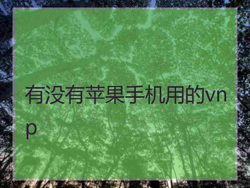 有没有苹果手机用的vnp