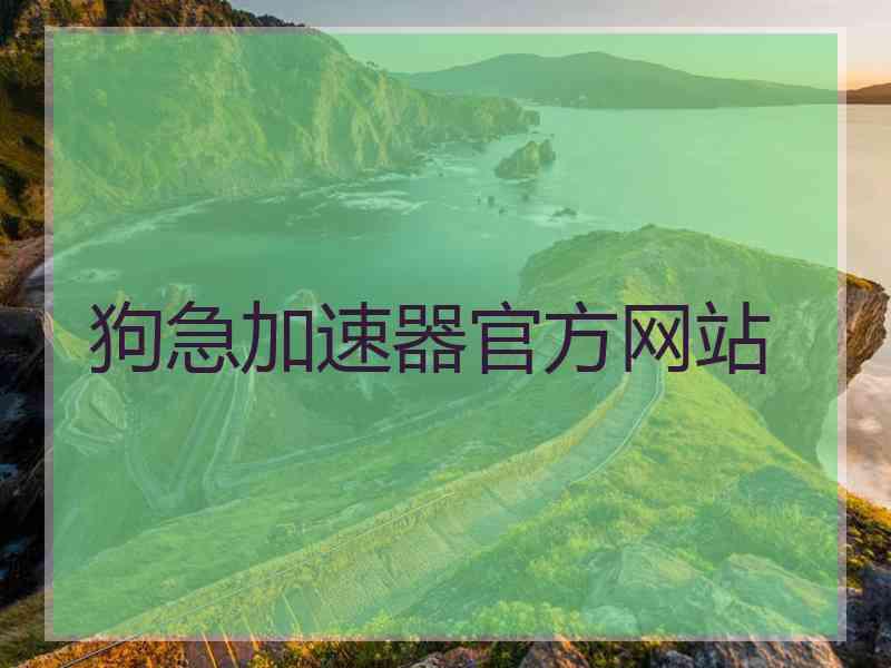 狗急加速器官方网站