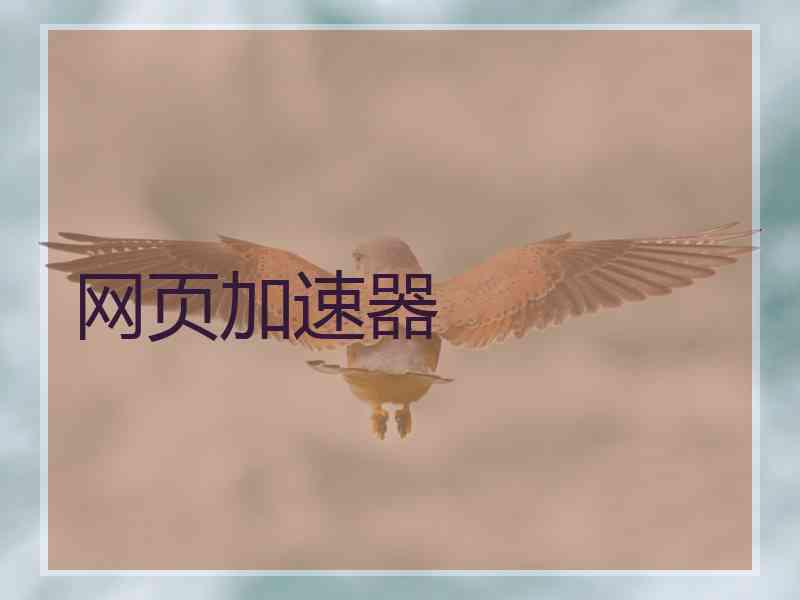 网页加速器
