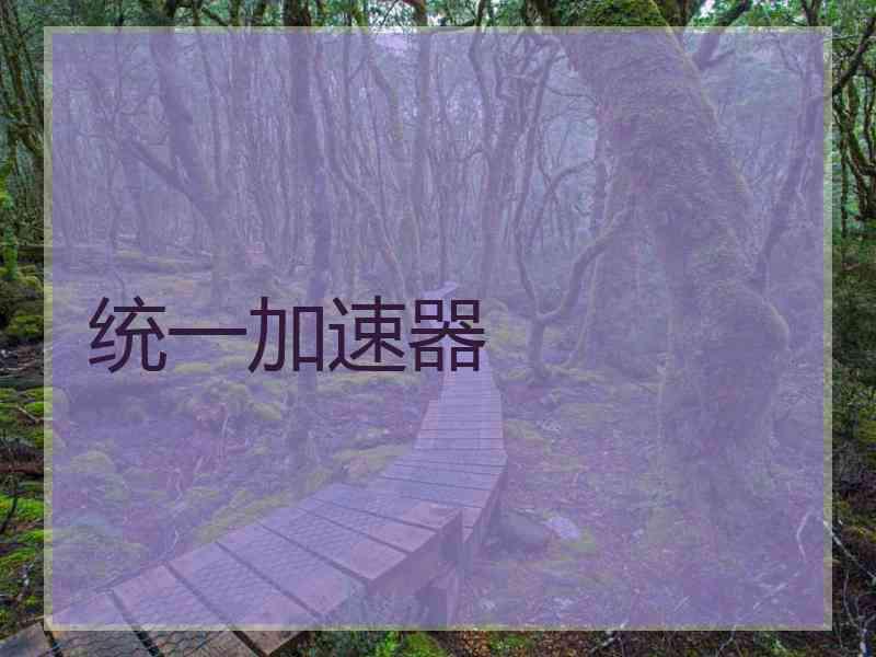统一加速器