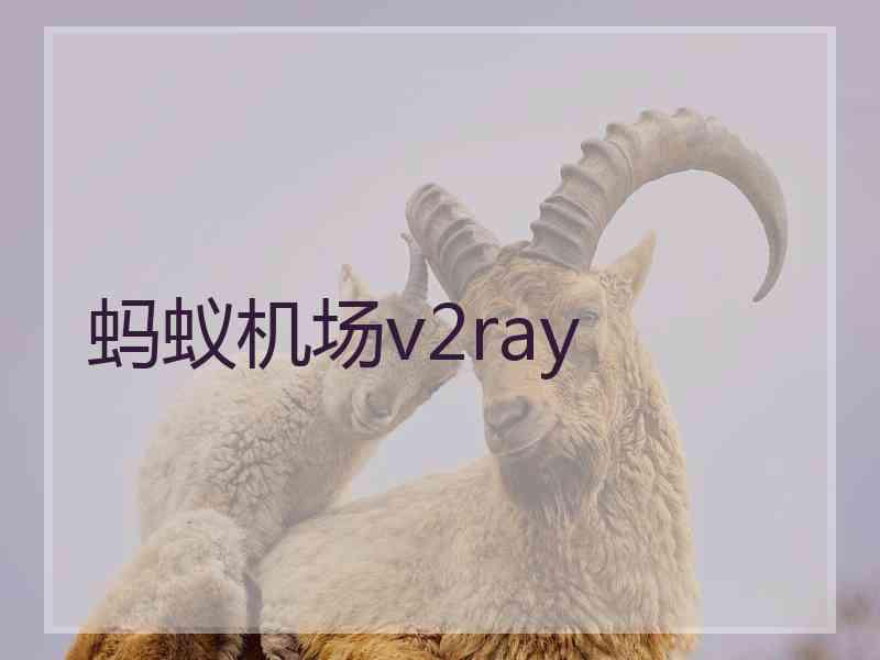 蚂蚁机场v2ray