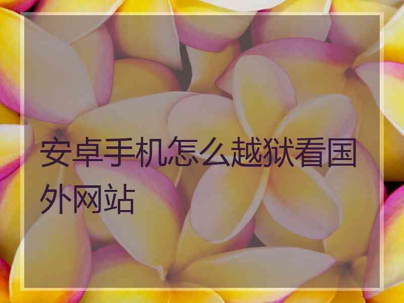 安卓手机怎么越狱看国外网站