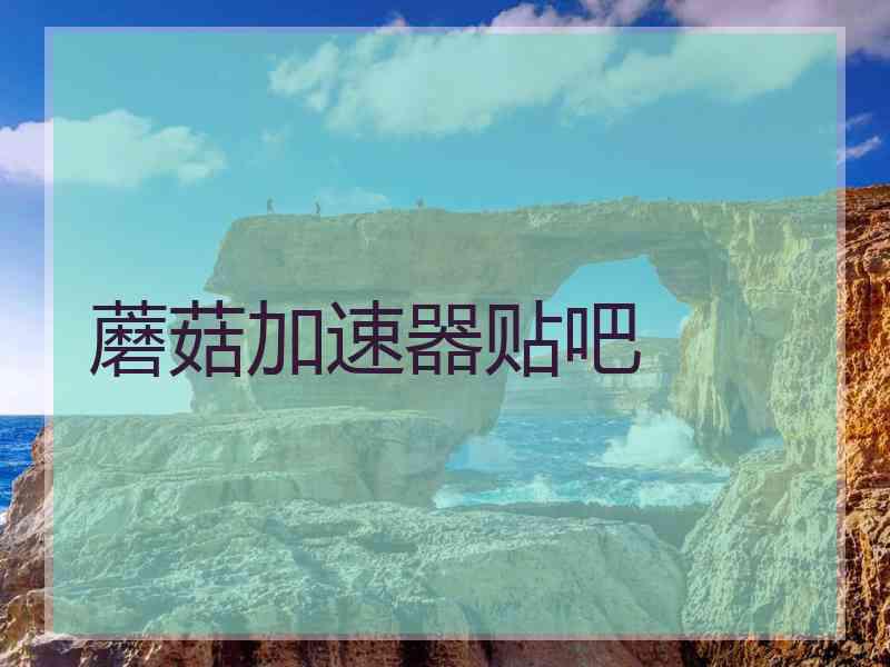 蘑菇加速器贴吧