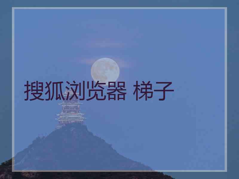 搜狐浏览器 梯子
