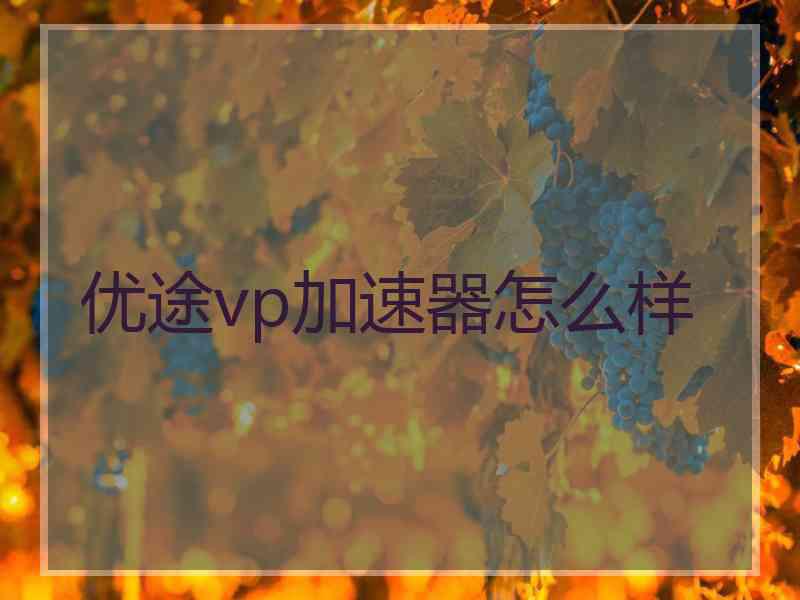优途vp加速器怎么样