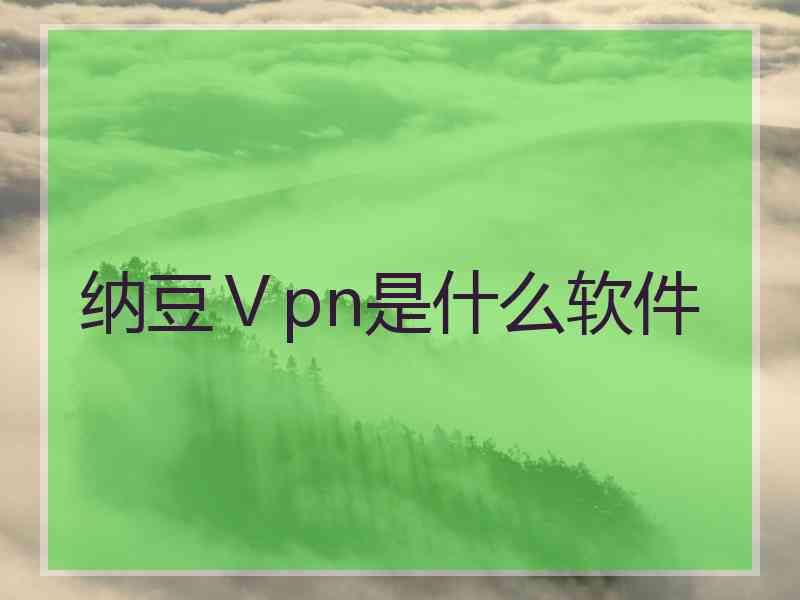 纳豆Ⅴpn是什么软件